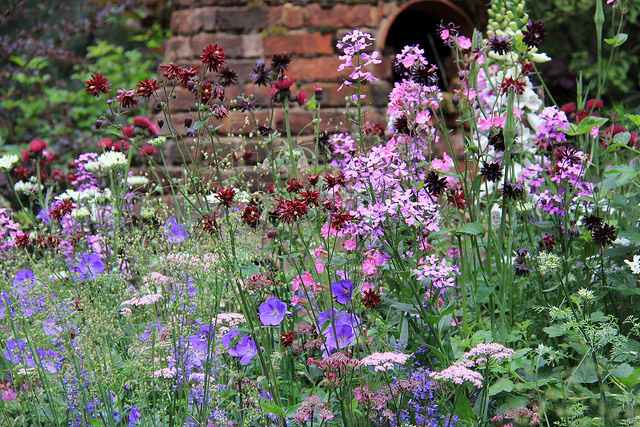 RHS Chelsea Flower Show 2014 © Karen Roe CC-BY-2.0