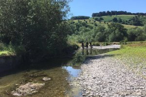 Fish rescues during drought