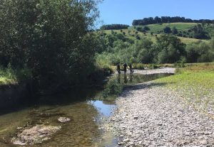 Fish rescue from low flow river